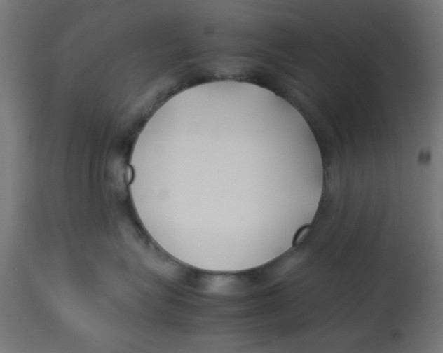 X0000113210575200910081320