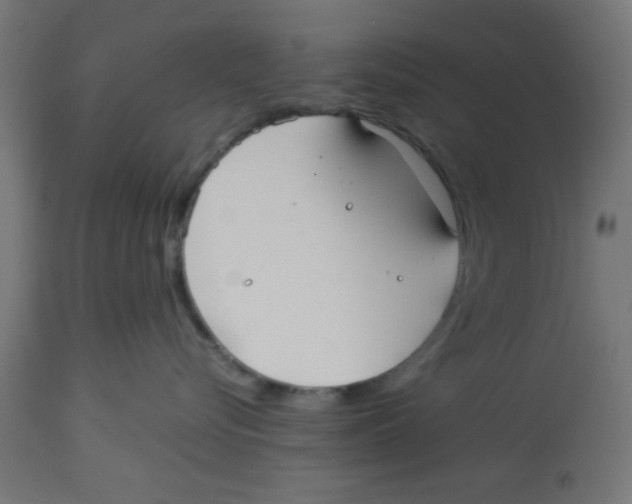 X0000113210576200910081320