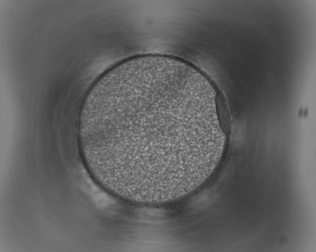 X0000113210577200910081319