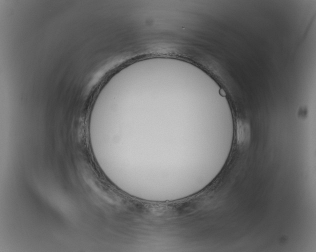 X0000113210579200910081319