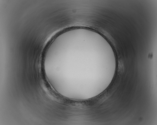 X0000113210580200910081319