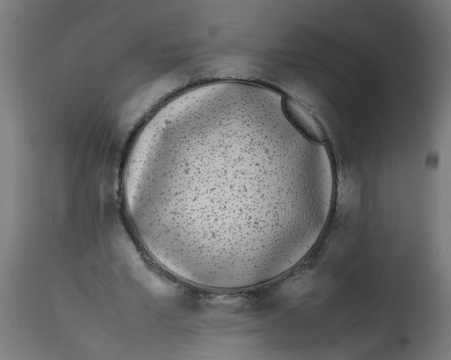 X0000113210581200910081319