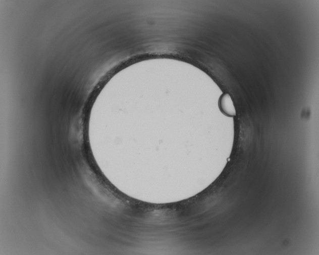 X0000113210584200910081319