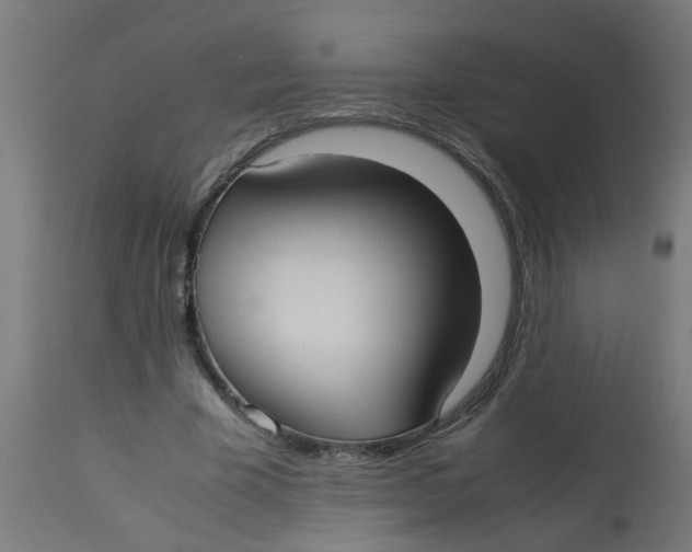 X0000113210585200910081319