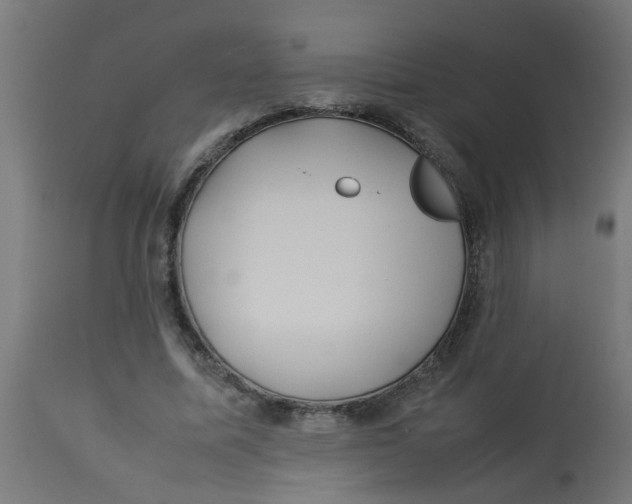 X0000113210587200910081319