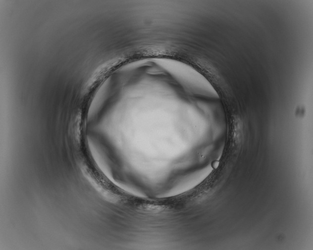 X0000113210590200910081319