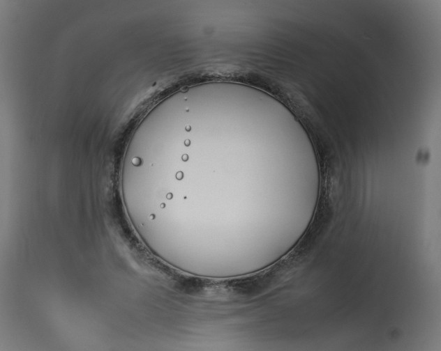 X0000113210591200910081319