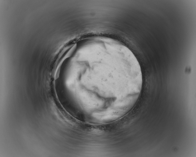 X0000113210592200910081319