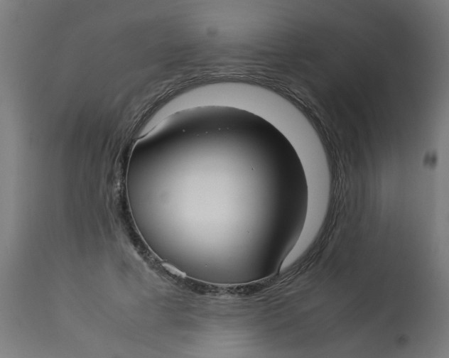 X0000113210593200910081319