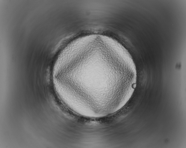 X0000113210594200910081319