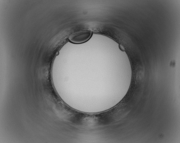 X0000113210595200910081319