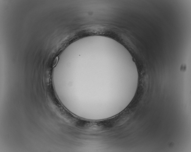 X0000113210597200910081319