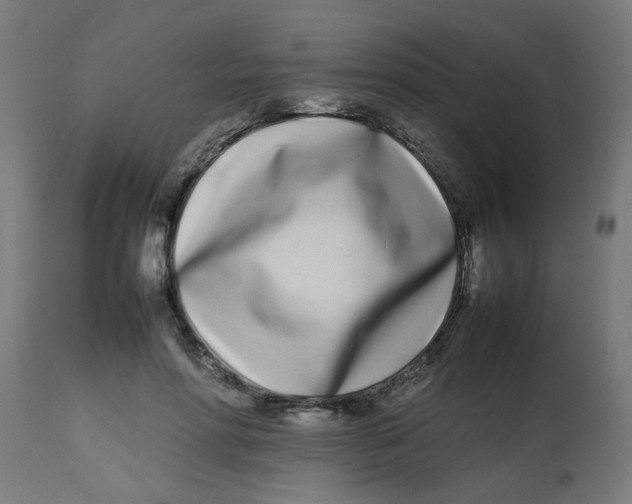 X0000113210598200910081319