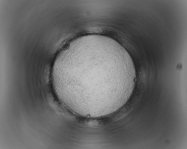 X0000113210600200910081319