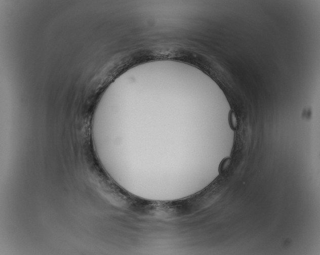 X0000113210601200910081319