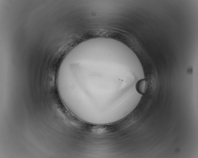 X0000113210602200910081319