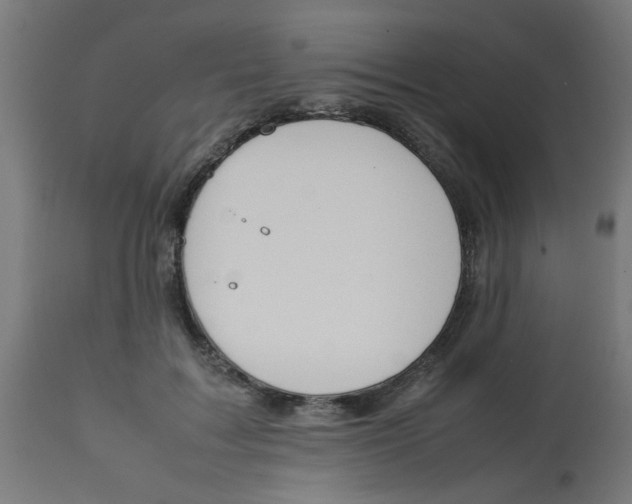 X0000113210603200910081319