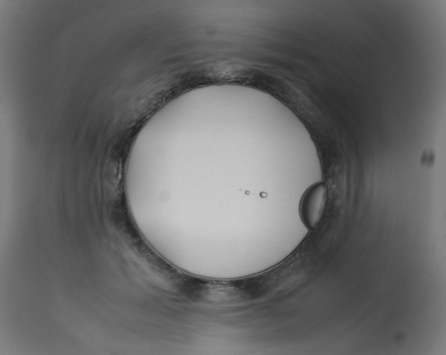 X0000113210605200910081319