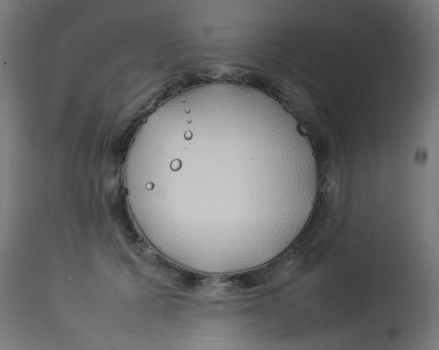 X0000113210607200910081319