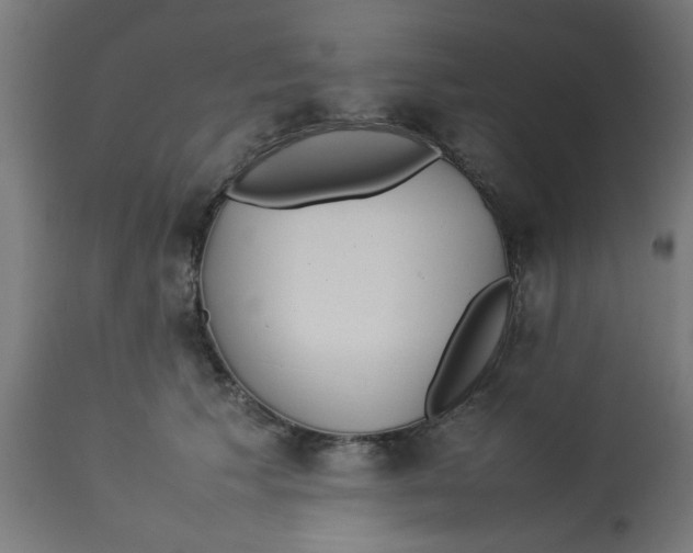 X0000113210609200910081319