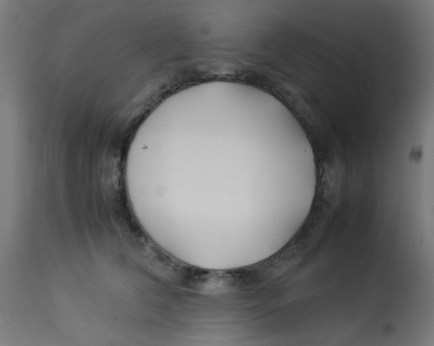 X0000113210612200910081319