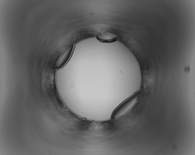 X0000113210613200910081319