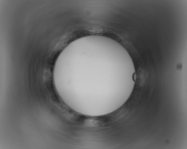 X0000113210614200910081319