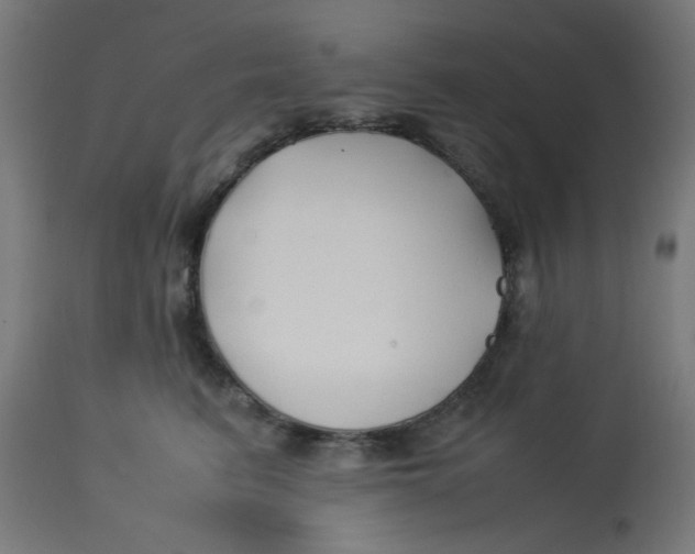 X0000113210615200910081319