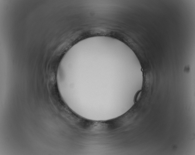 X0000113210617200910081319