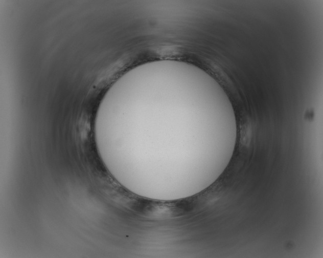 X0000113210618200910081319