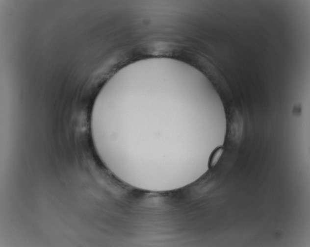 X0000113210620200910081319