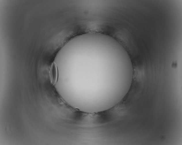 X0000113210621200910081318