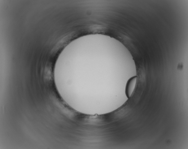 X0000113210622200910081318