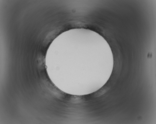 X0000113210624200910081318