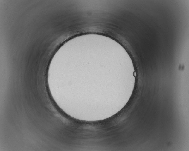 X0000113210625200910081317