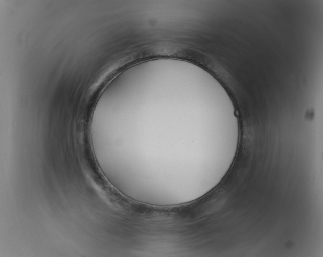 X0000113210626200910081317