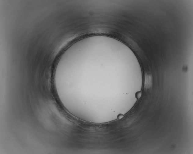 X0000113210627200910081317