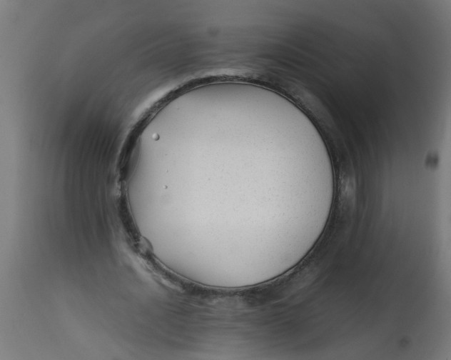 X0000113210628200910081317