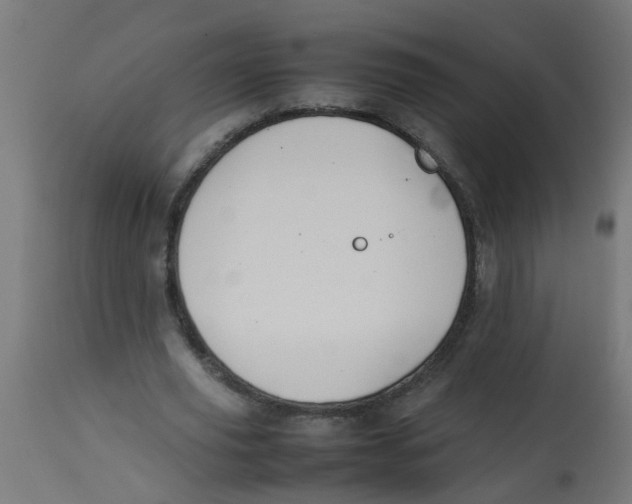 X0000113210629200910081317