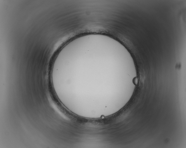 X0000113210630200910081317