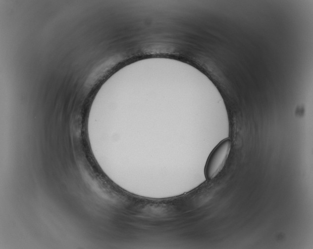 X0000113210631200910081317