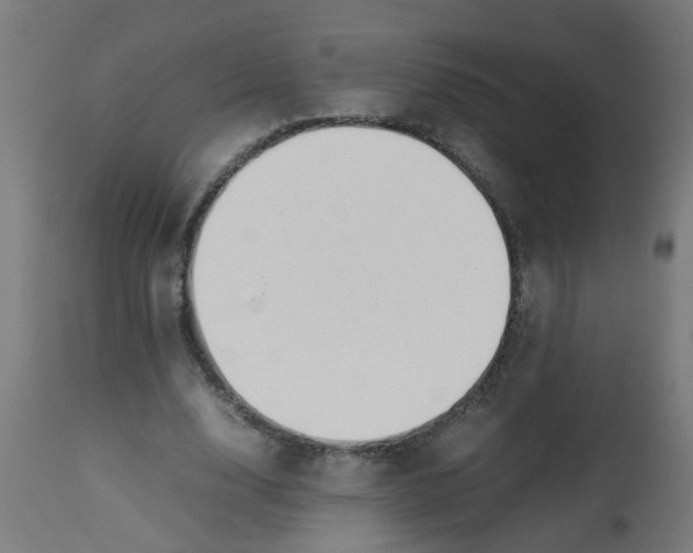 X0000113210632200910081317