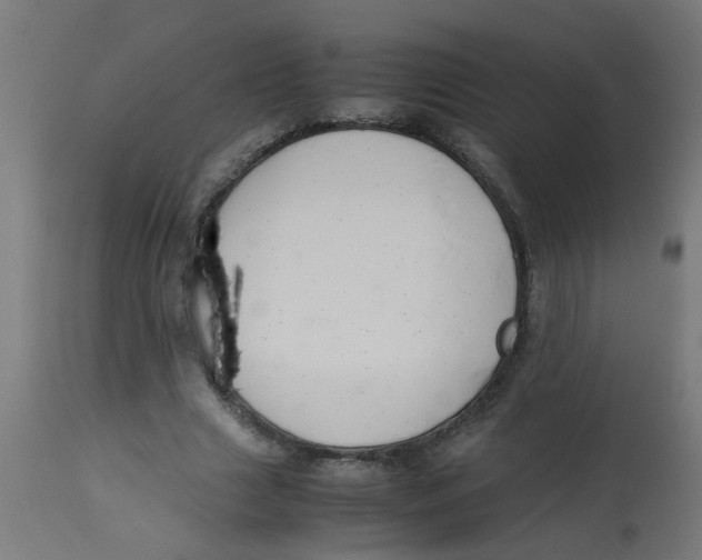 X0000113210633200910081317