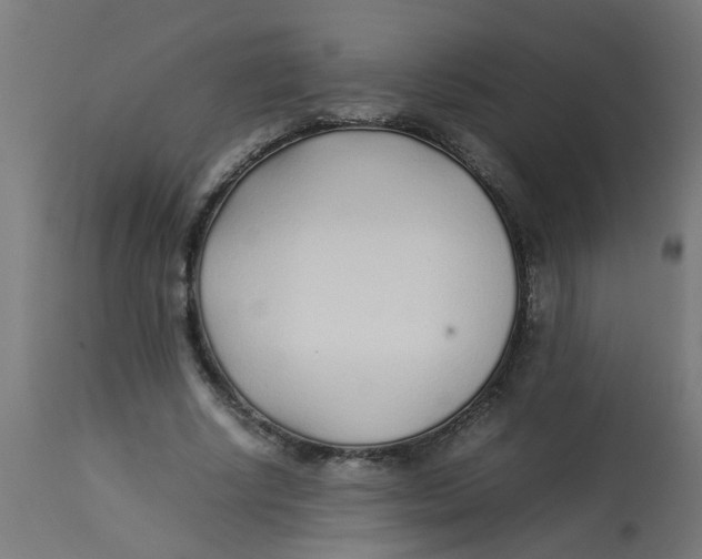 X0000113210634200910081318