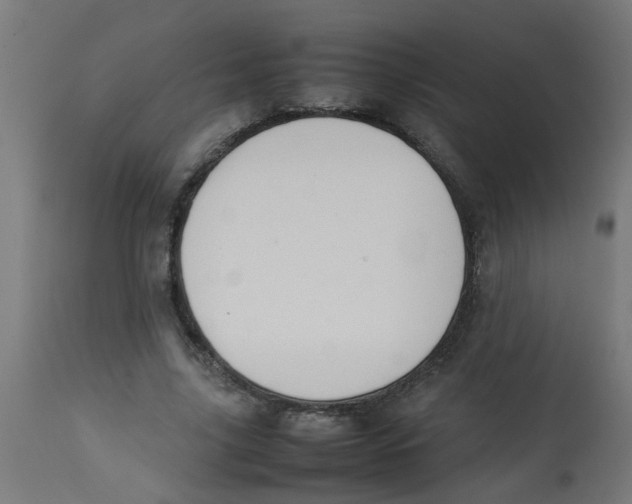 X0000113210635200910081318