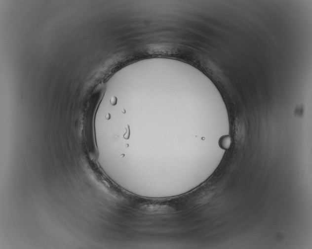 X0000113210637200910081318