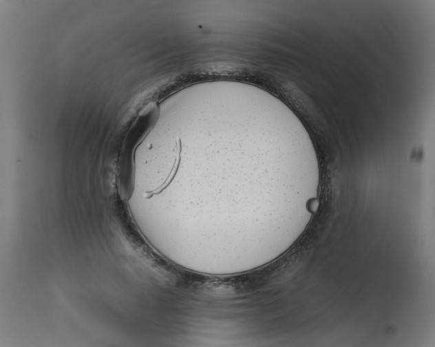 X0000113210640200910081318