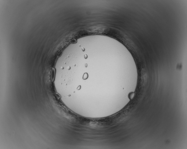 X0000113210641200910081318