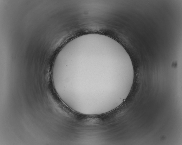 X0000113210642200910081318