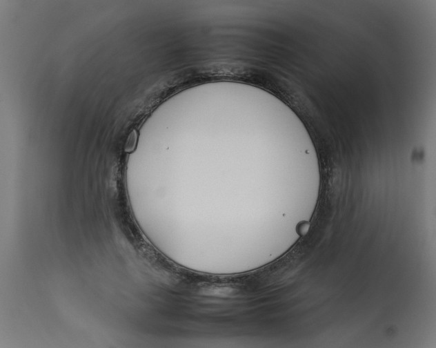 X0000113210643200910081318